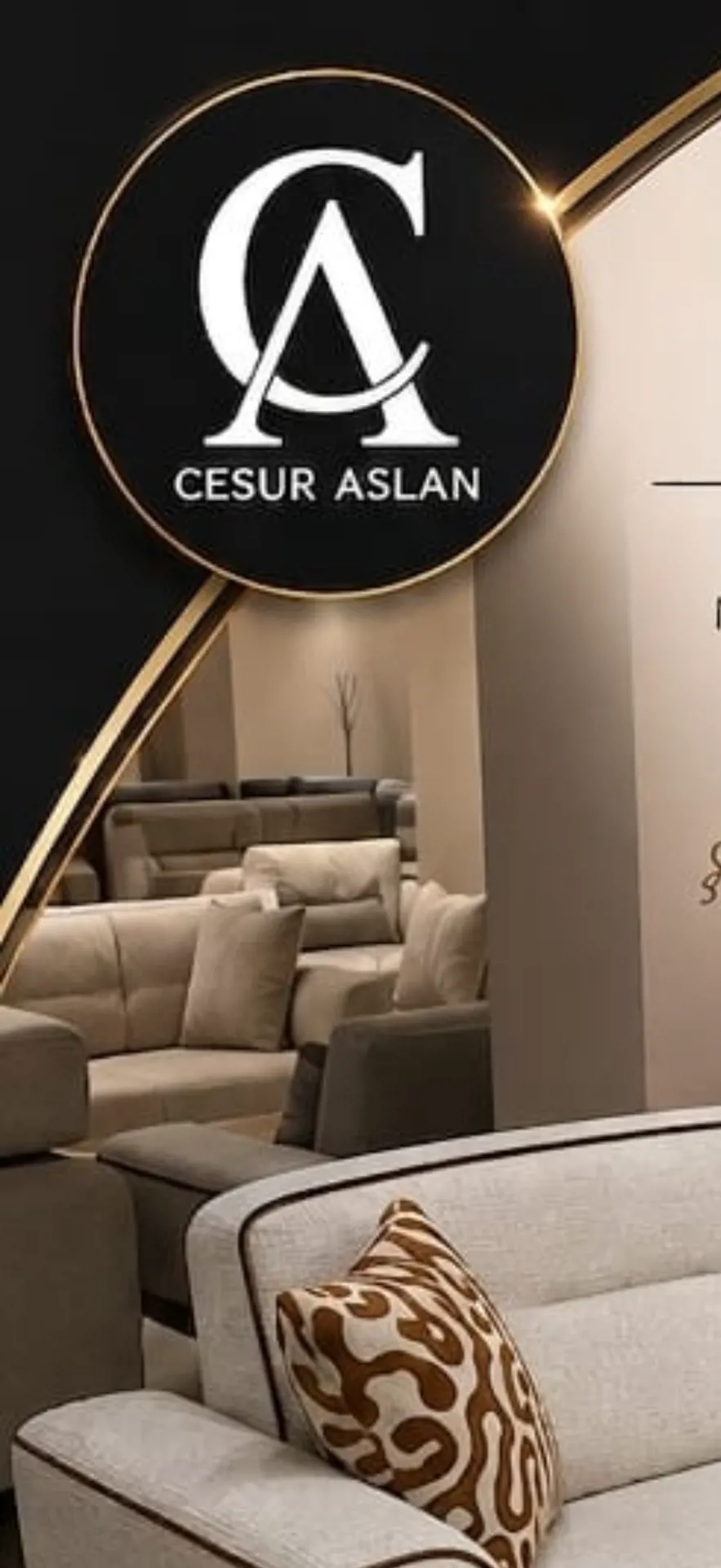 Cesur Aslan Home Desing