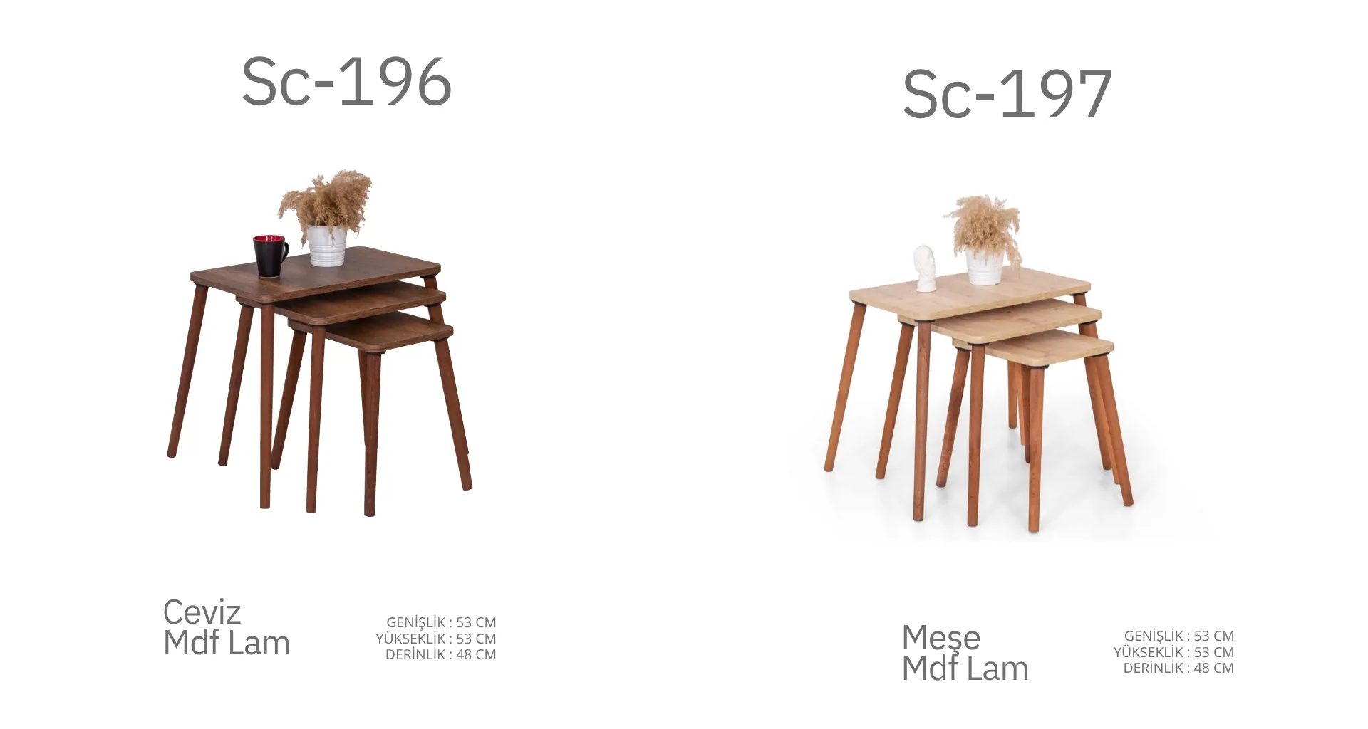 Sc-196 ve Sc-197 Sehpa